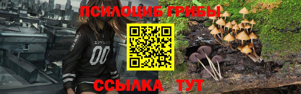 Ирбит  Псилоцибиновые грибы MAGIC MUSHROOMS  Вход с VPN  где можно купить наркотик  Галлюциногенные грибы Psilocybe 